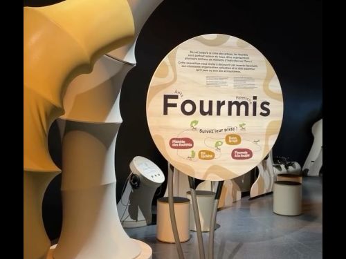 Une exposition autour de la fourmi dans un centre culturel 🐜

Pour ce projet, nous avons fabriqué...